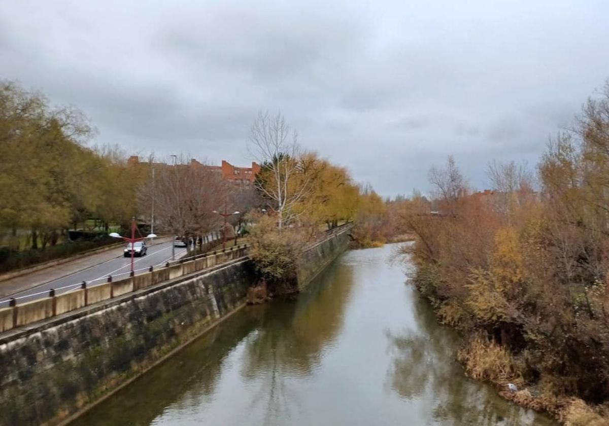 Destino Pesca se une al proyecto Libera para recoger 'basuraleza' en el Bernesga y el Torío