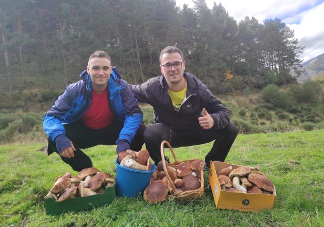 Imagen de Eduardo Álvarez y Fernando Rodríguez recolectando setas.