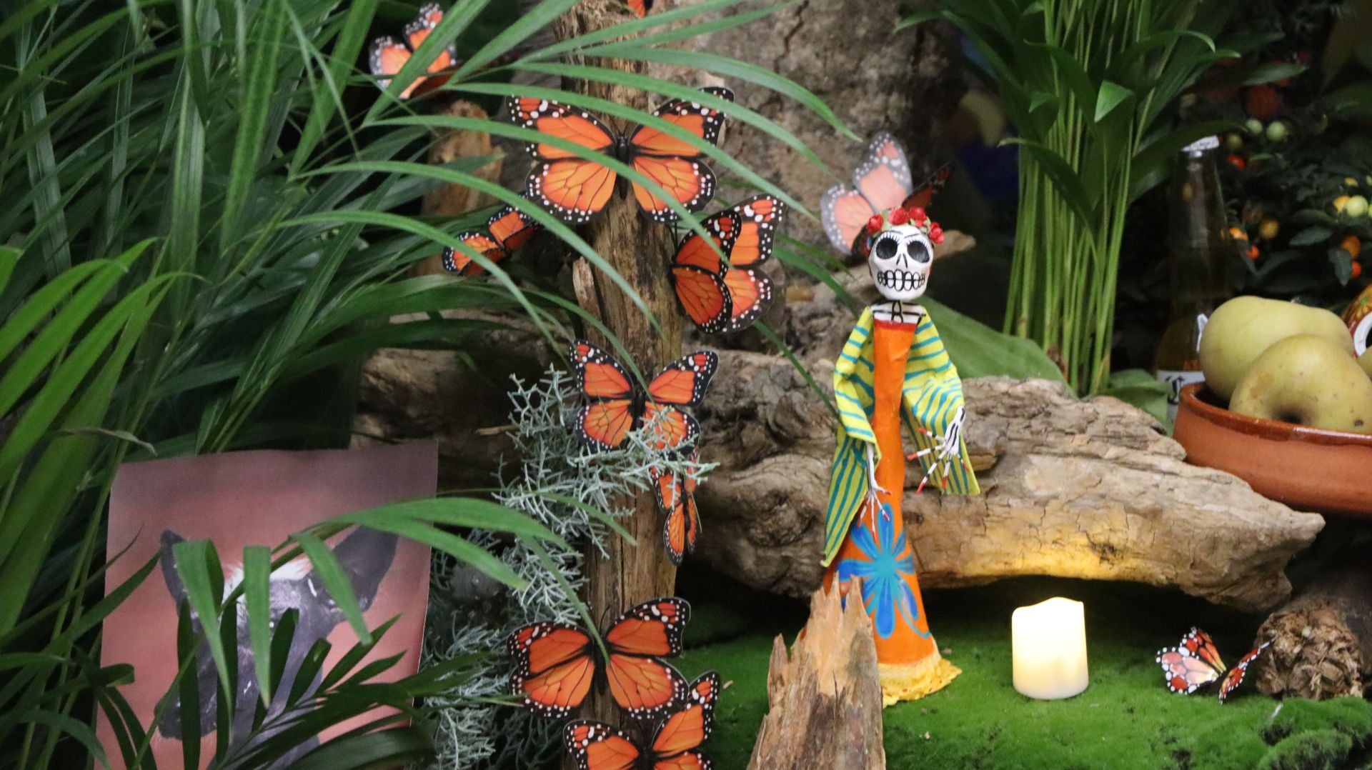 Mariposas para el altar de muertos del MEL