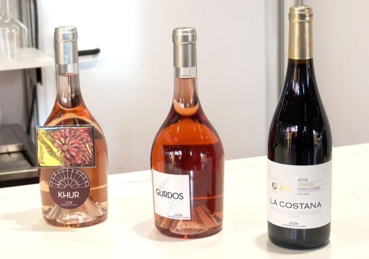 Bodegas Gordonzello en la feria de productos de León