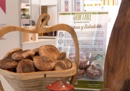 Fungi Set en la feria de productos de Léon