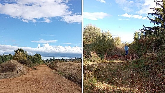 La vía verde del Tren de Aviación despega en Valverde y se estrella en Santovenia