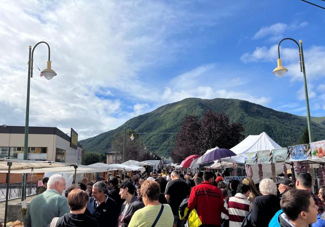 Imagen de la afluencia de gente a la Feriona de Villablino