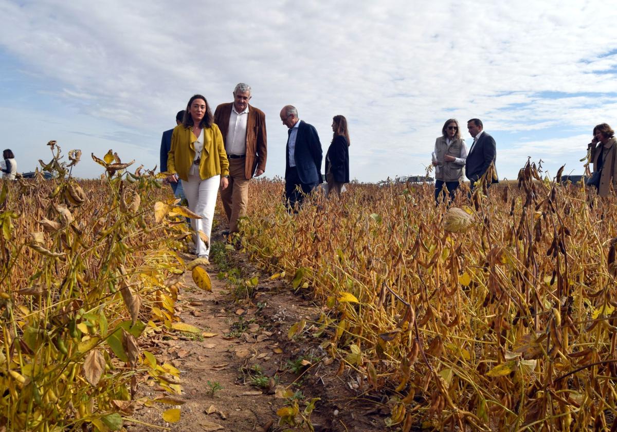 Visita a los campos de ensayo de soja del Itacyl y Pascual en Salamanca.