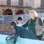 De pesca en la piscina de la plaza Mayor: «Son bichos raros»