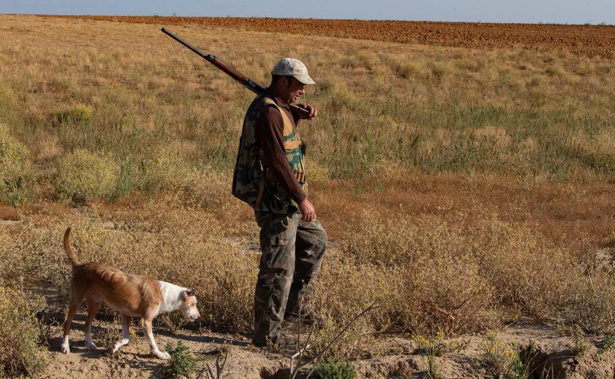 Un cazador por el campo con su perro.