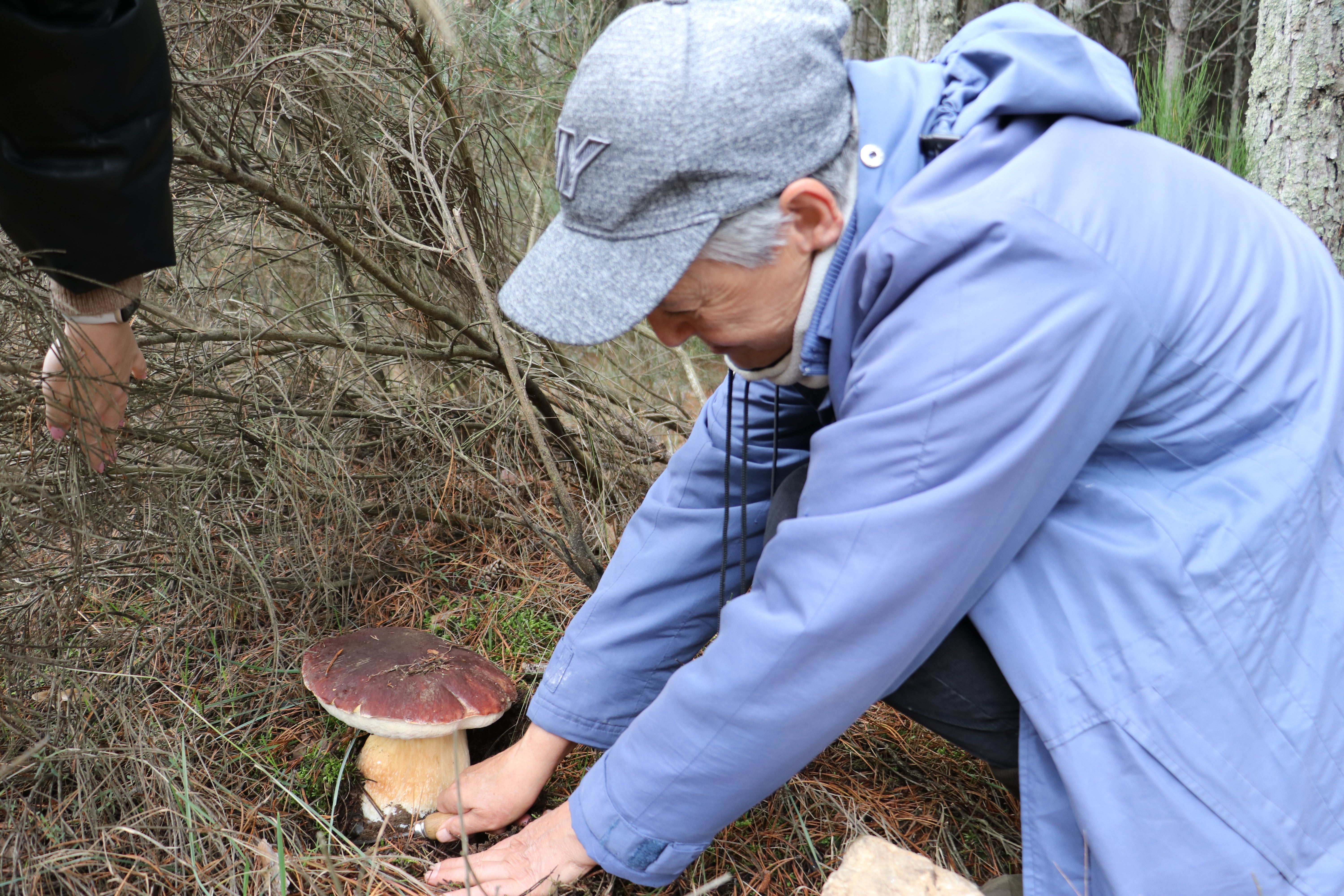 Imagen de Manoli Martínez con el boletus pinícola.