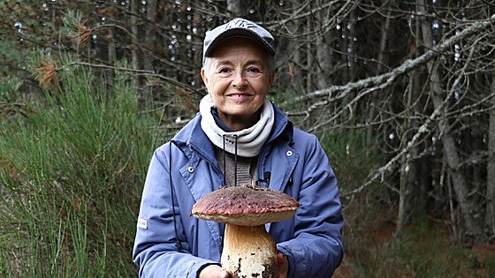 Boletus de un kilo y medio en Omaña: «Es una de las mejores temporadas»