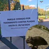 El parque de La Chantría cierra por las ratas: «Está invadido»