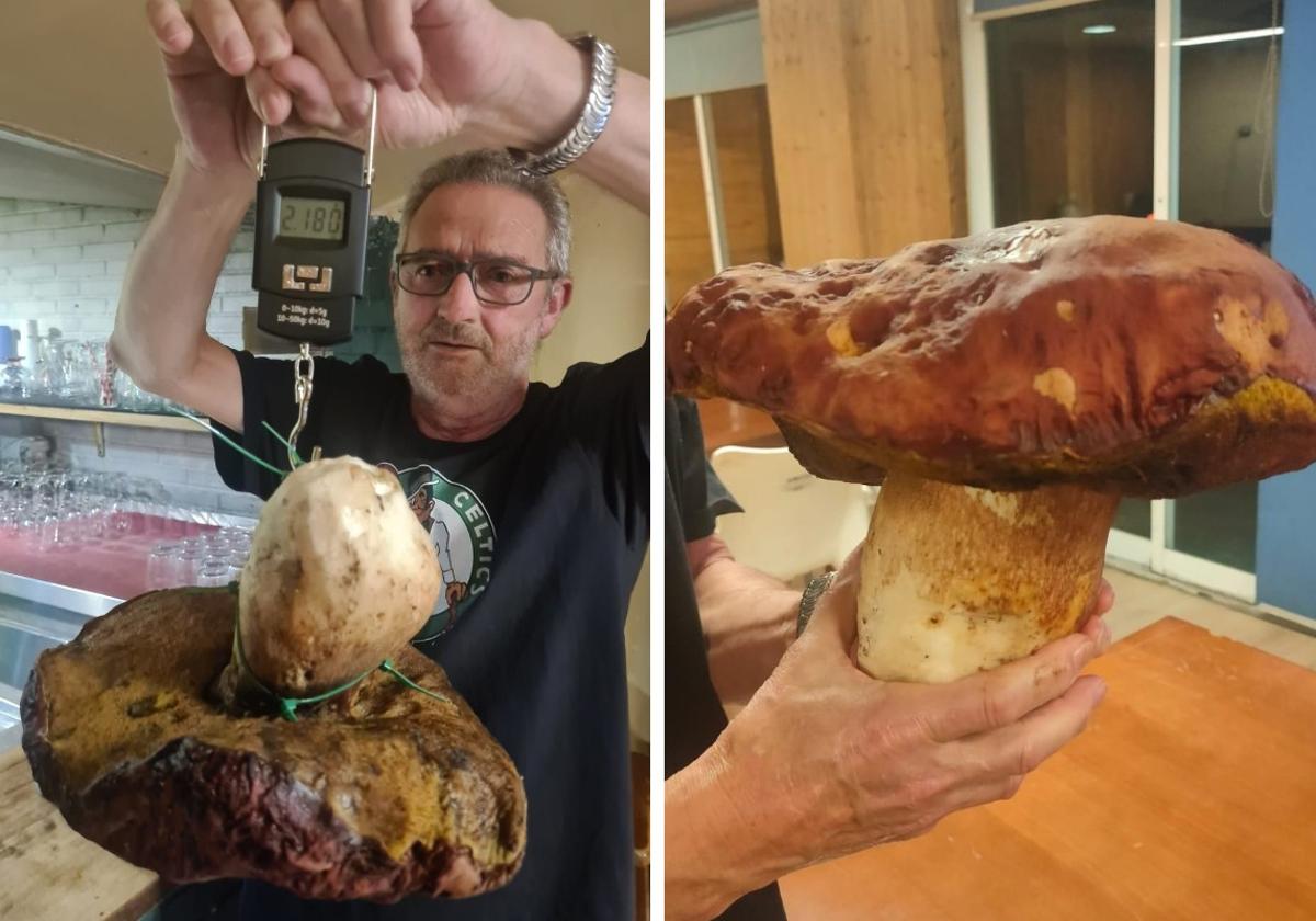 Imagen del boletus recogido por Víctor Diez y su amigo.