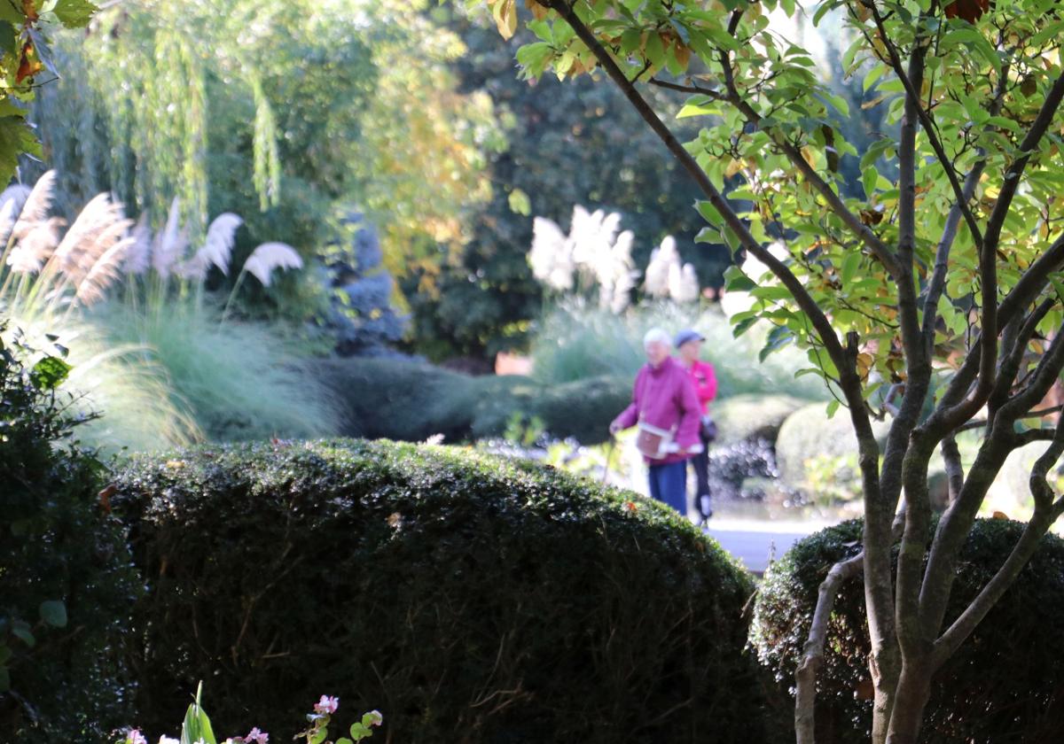 El parque de La Chantría reabre tras la desratización.