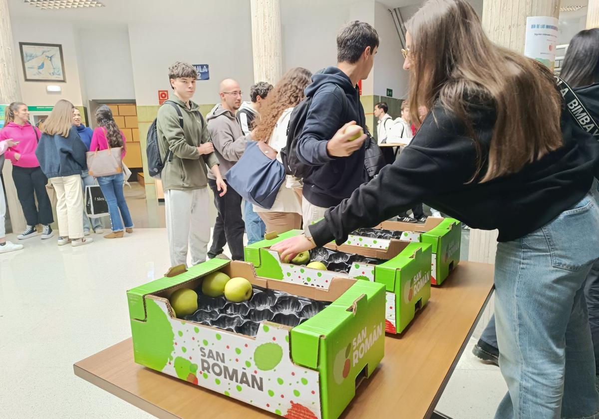 Imagen principal - Los universitarios leoneses comen la fruta a bocados con el reparto de 800 peras y manzanas