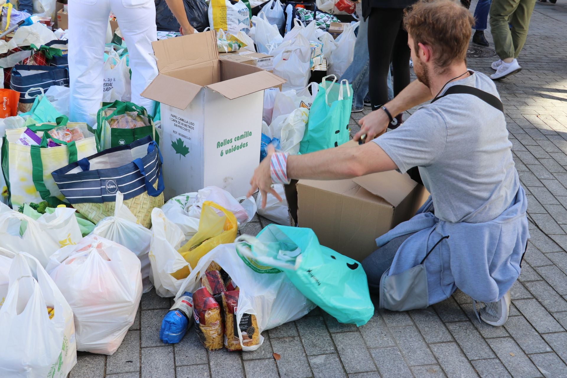 Recogida de alimentos y material en León