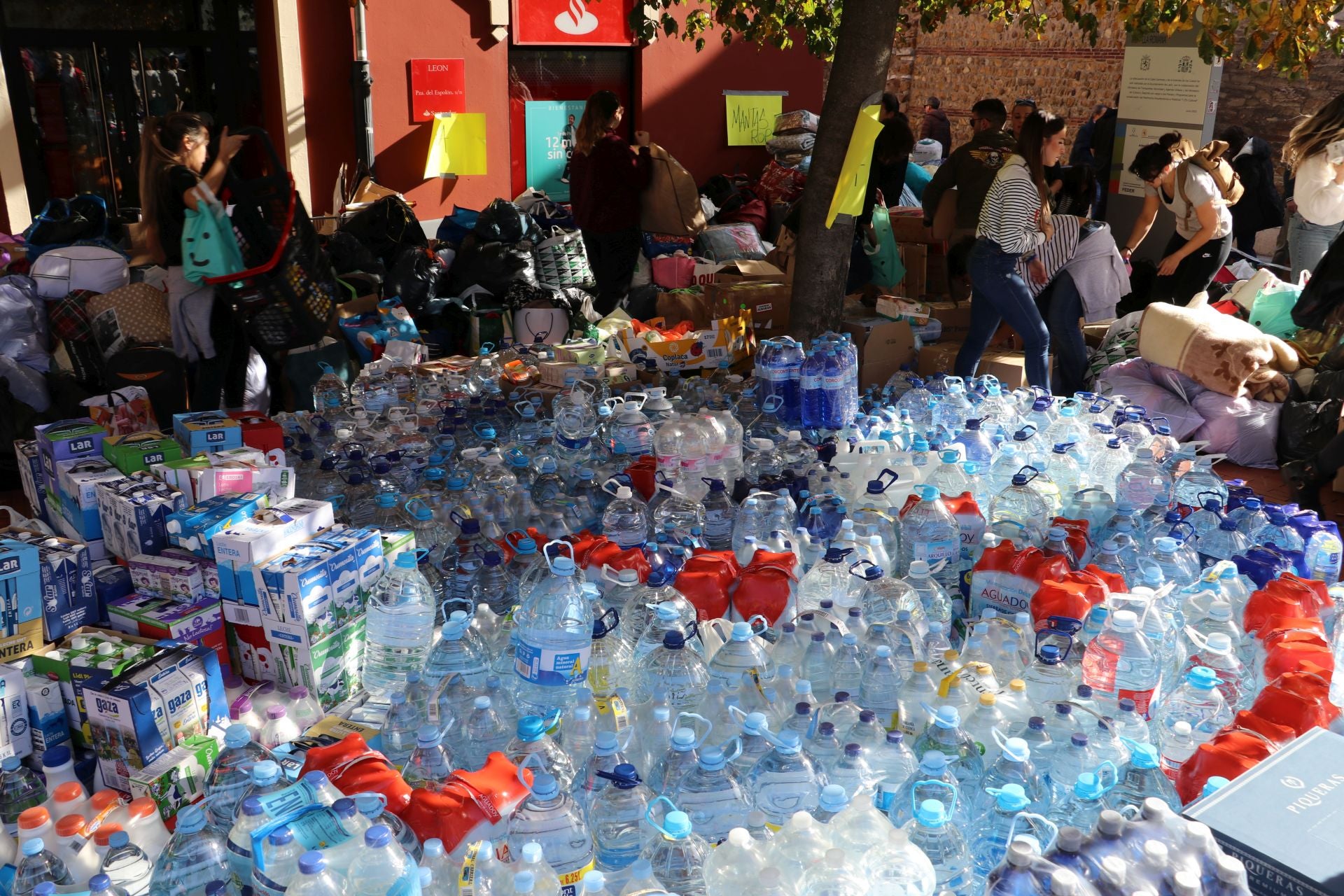 Recogida de alimentos y material en León