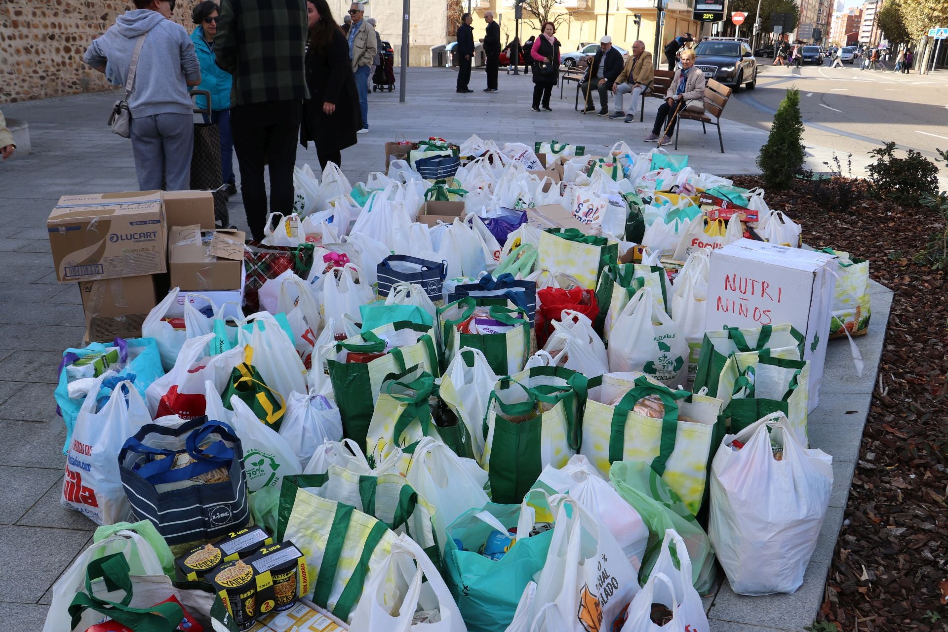 Recogida de alimentos y material en León