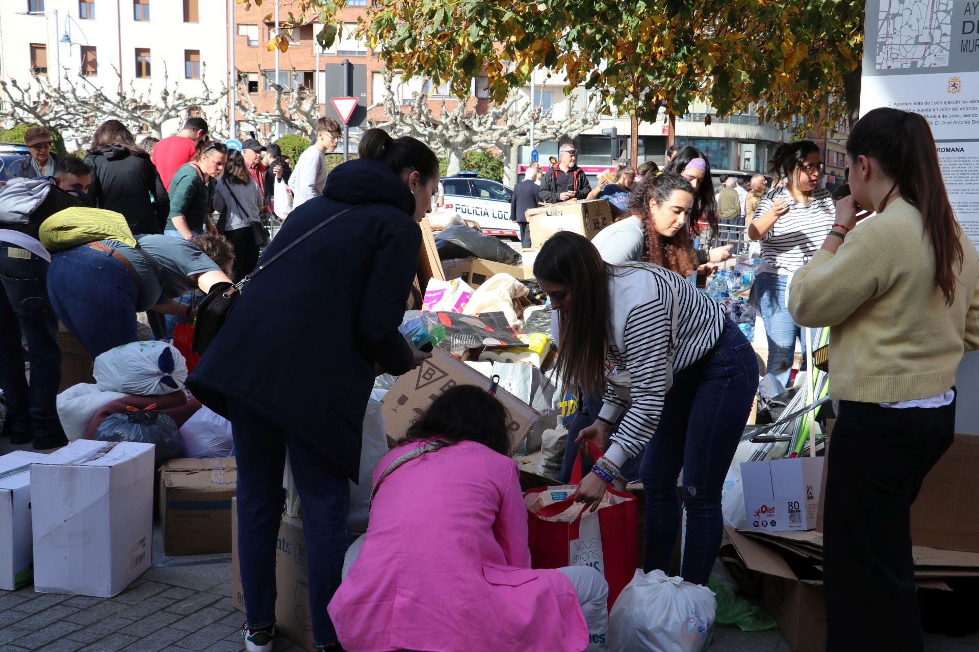 Recogida de alimentos y material en León