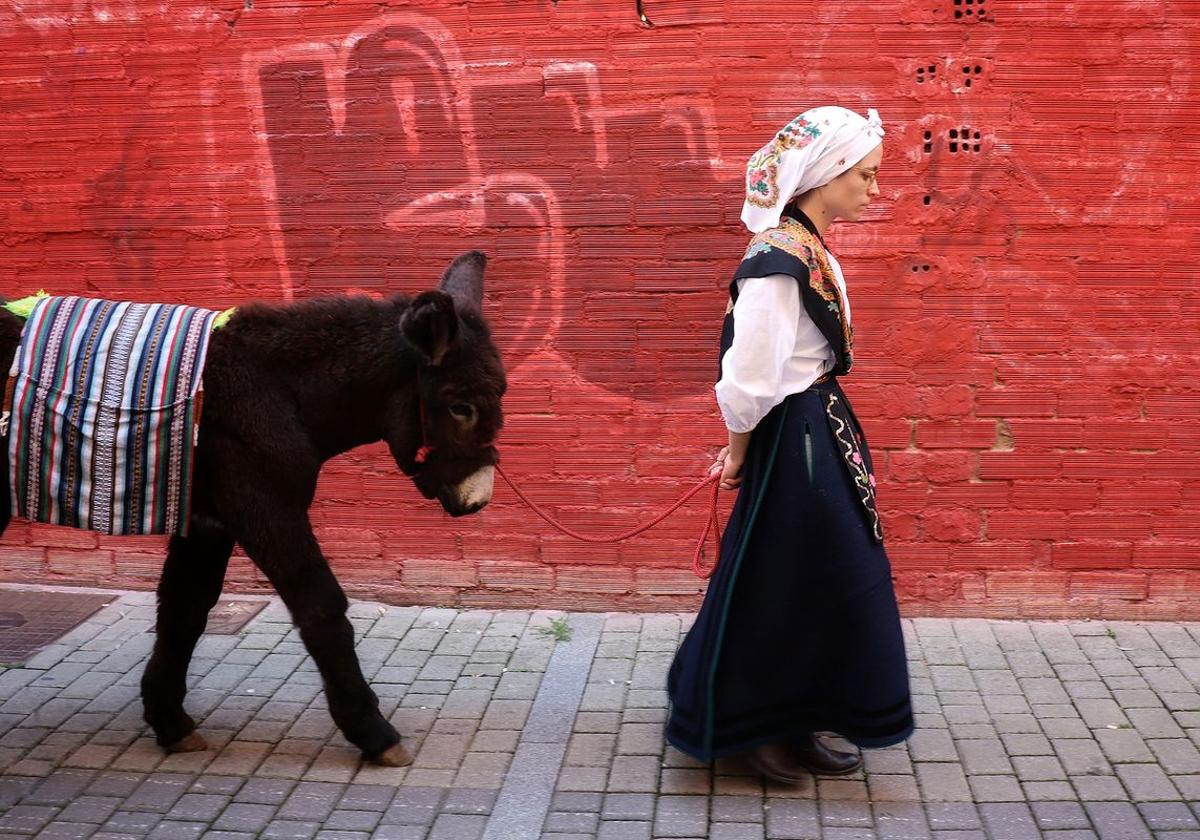 Primer premio del concurso para la fotografía de Pascual Marín.