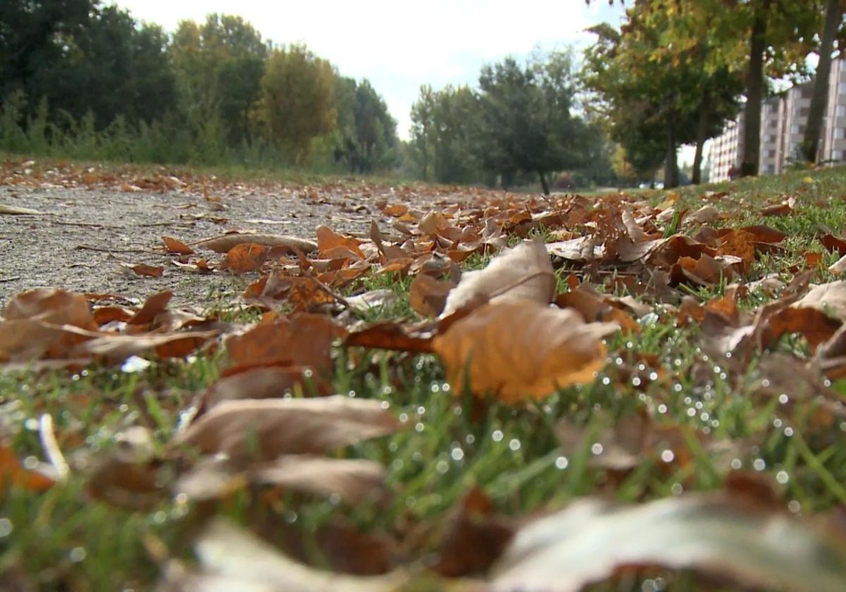 Imagen del otoño en León.