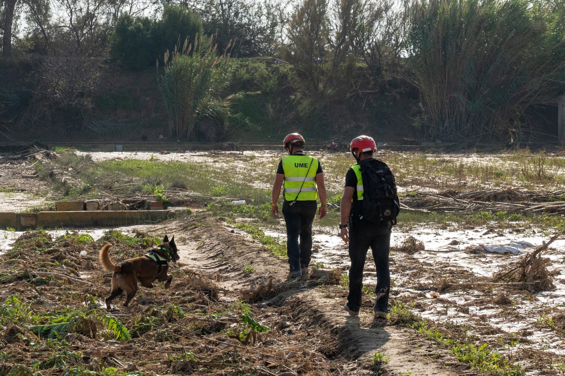 La UME rastrea La Albufera en busca de desaparecidos por la dana