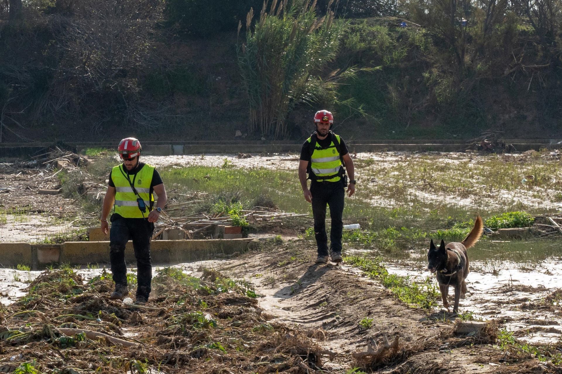 La UME rastrea La Albufera en busca de desaparecidos por la dana