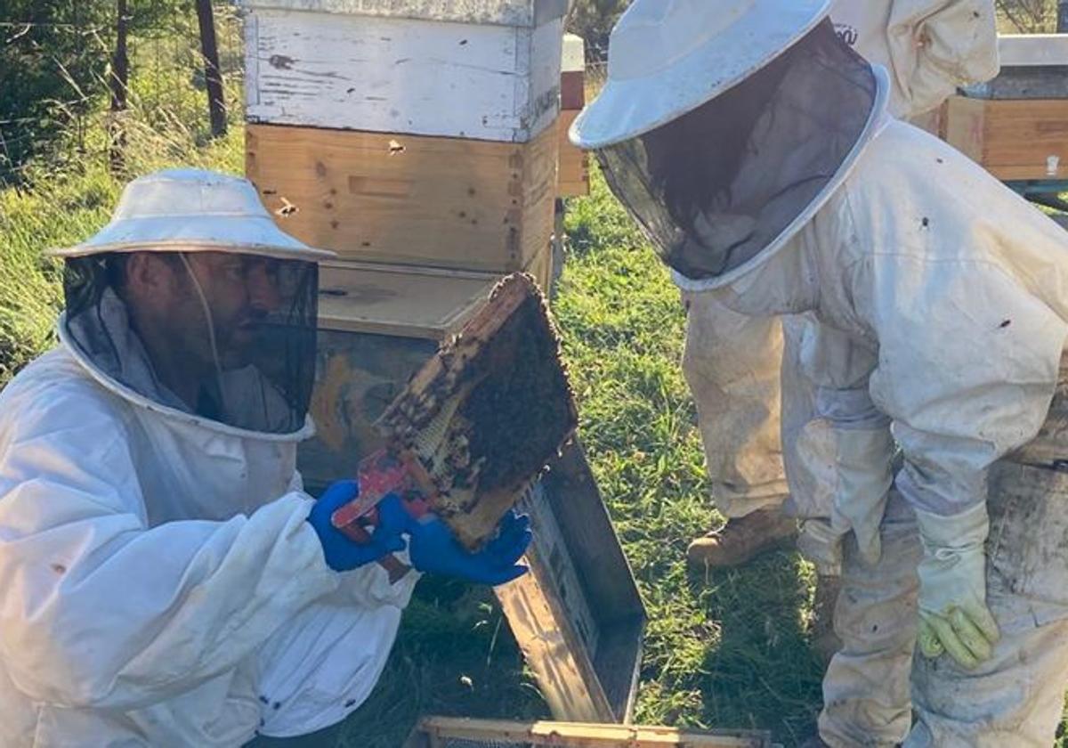 Alumnos del curso de iniciación a la apicultura celebrado en Pola de Gordon en mayo de este años durante las prácticas de campo que realizaron