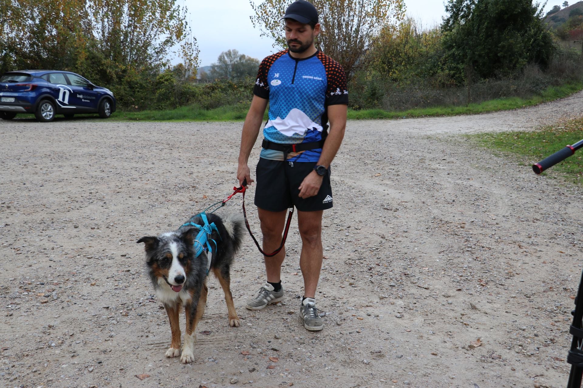 Entrenamiento de mushing en León