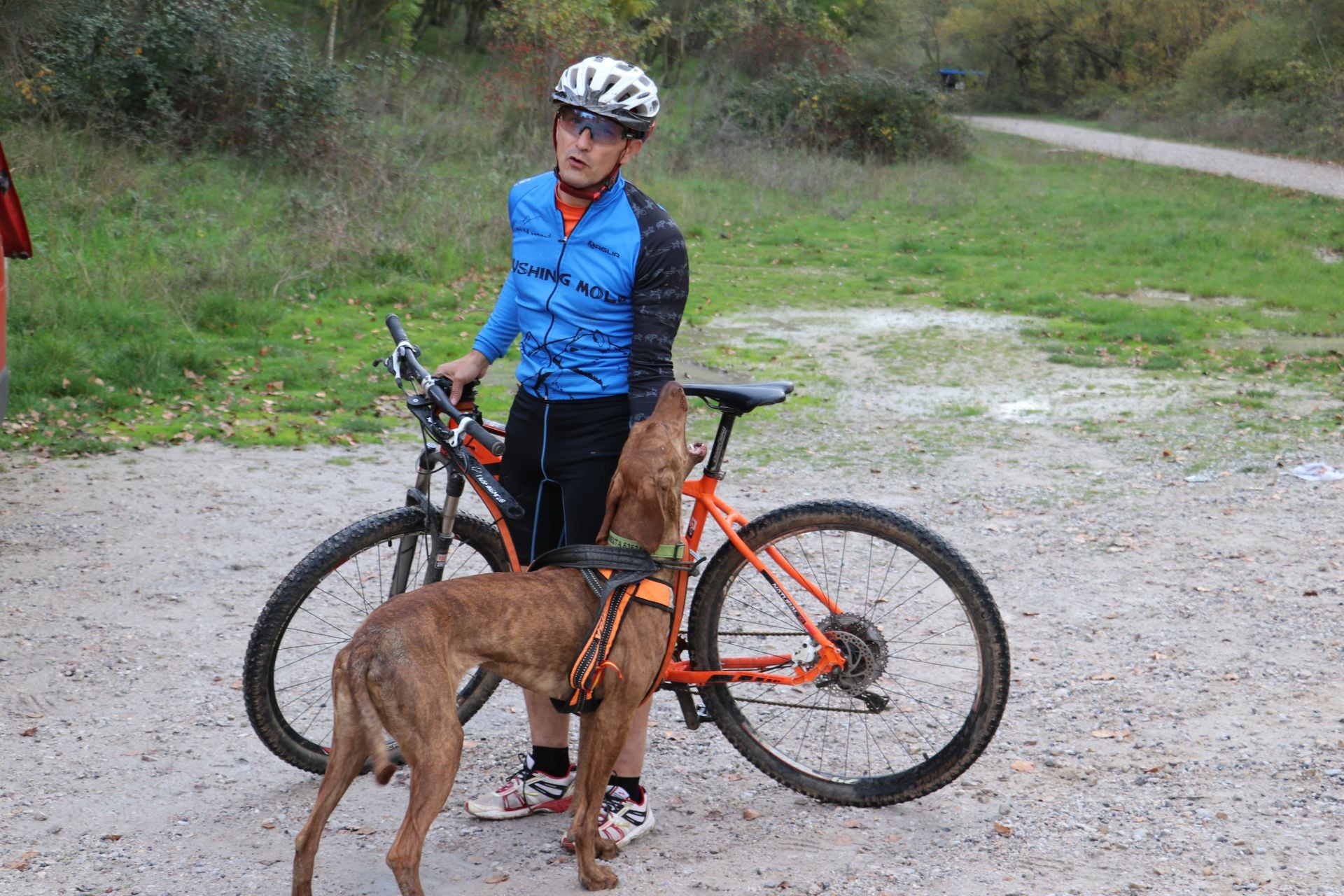 Entrenamiento de mushing en León