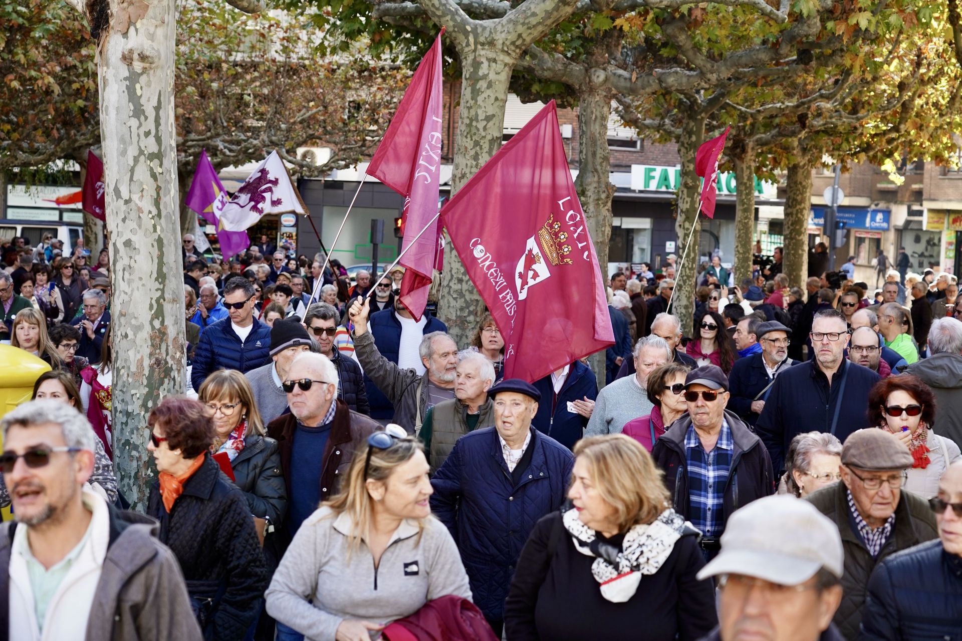 Manifestación por el futuro de Feve en León