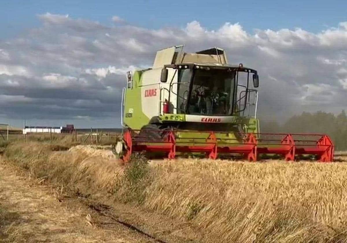 Agricultura en León.