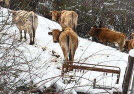 Nieve en la localidad leonesa de Riaño.