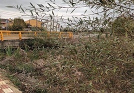 Canal entre Villasinta y Robledo de Torío.