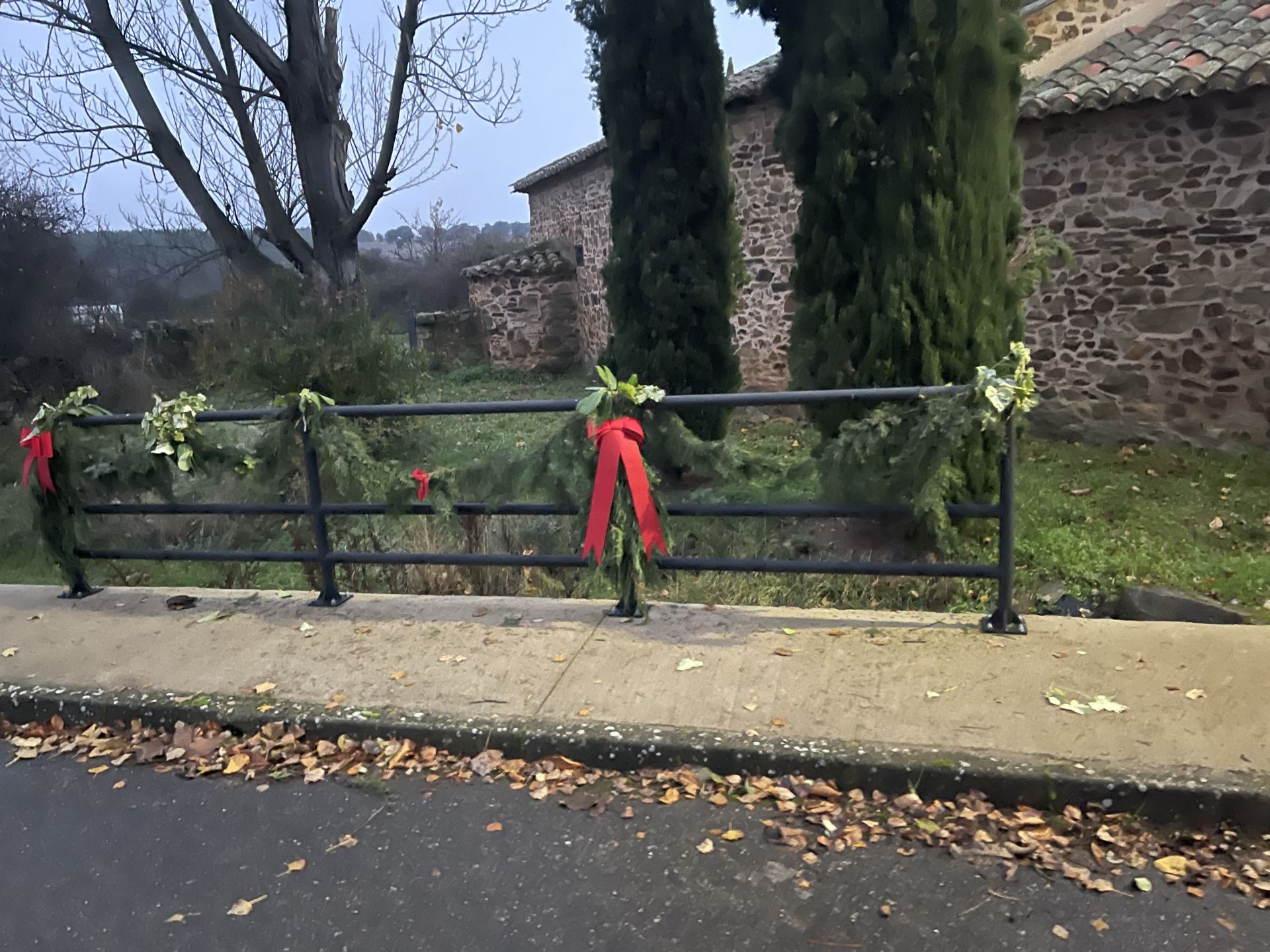 Lazos y motivos vegetales de navidad.