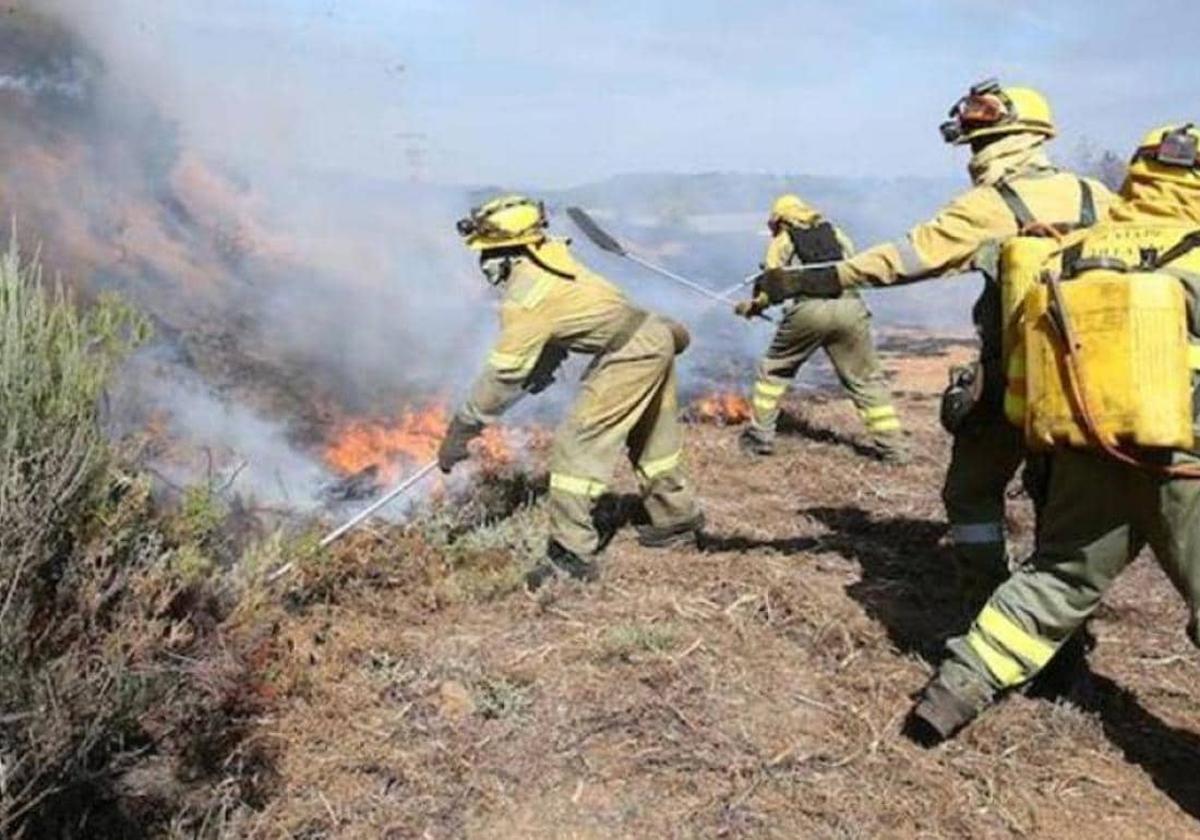 Critican las guardias «exclusivas» en Navidad que la Junta ha asignado a los agentes medioambientales