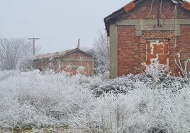 Una fuerte cencellada equivocó a muchos con una posible nevada.