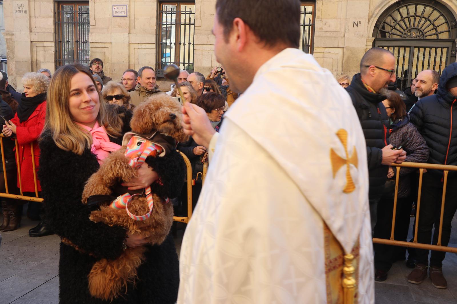 Celebración de San Antón en León en 2024.