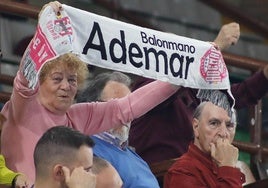 Una aficionada en el Palacio de los Deportes.