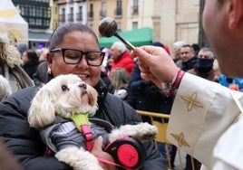 Una mascota recibe la bendición.