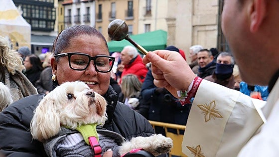 Las mascotas leonesas ya están protegidas por San Antón