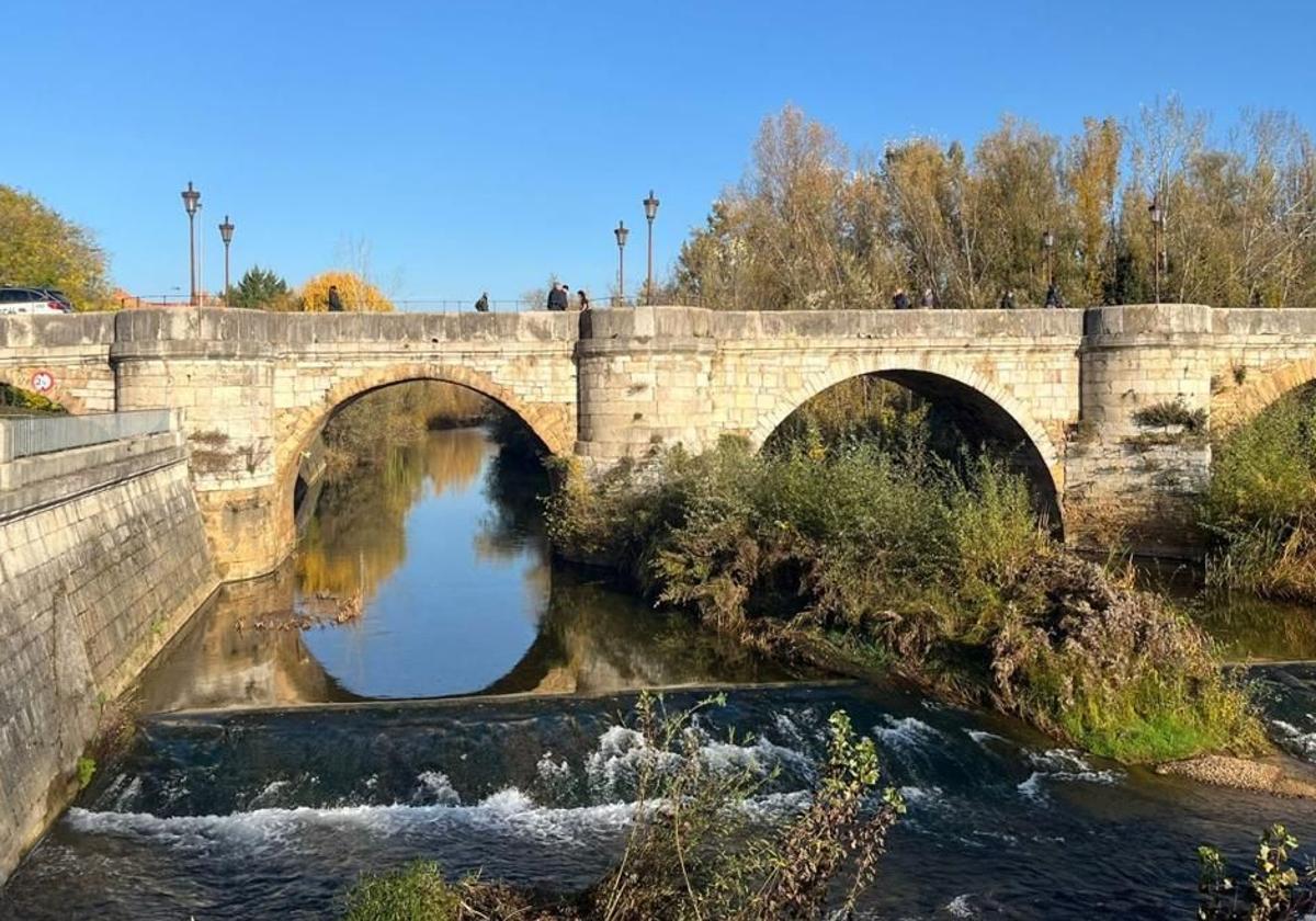 Imagen del río Bernesga.