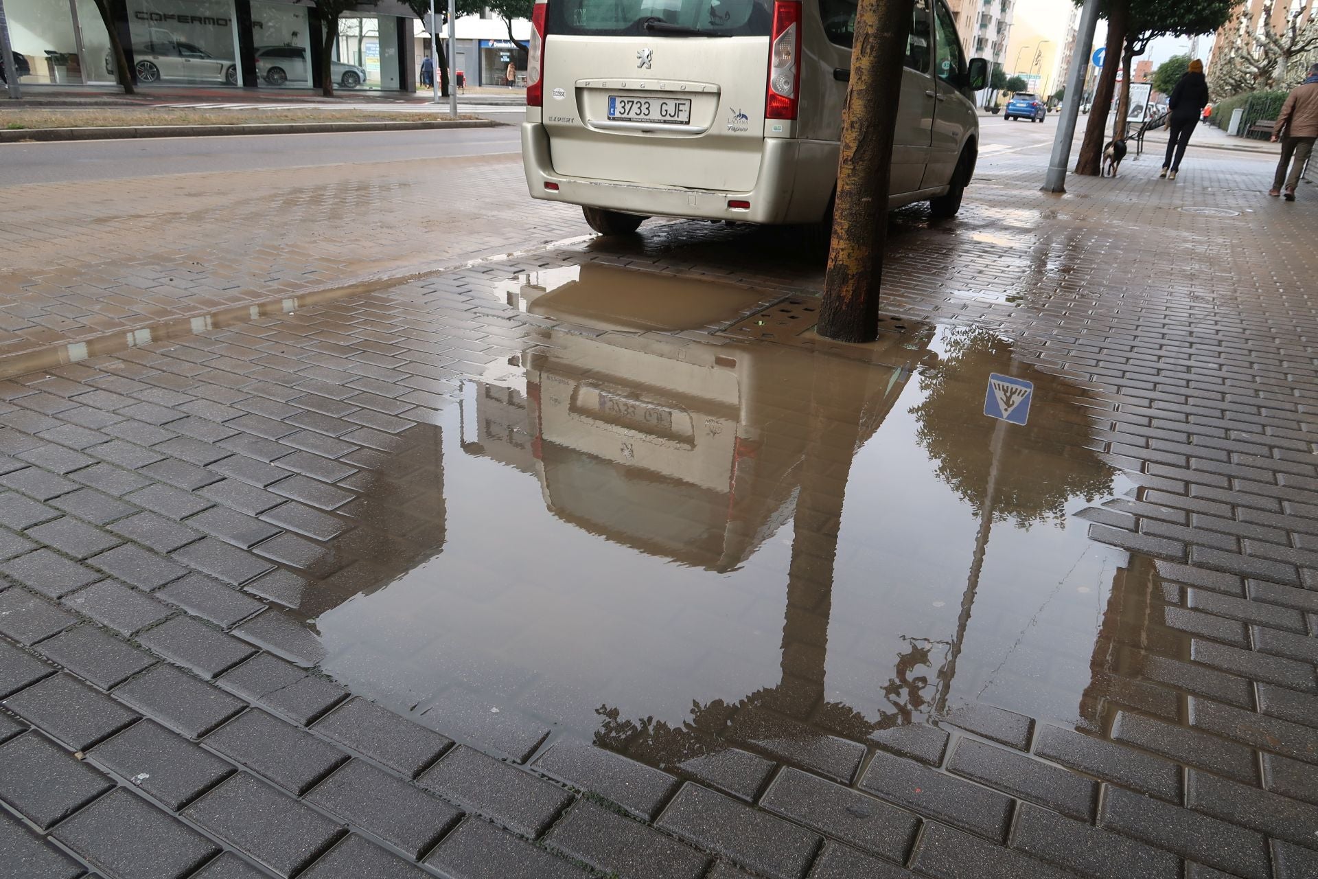 Imágenes de las consecuencias del reventón en Fernández Ladreda