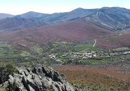 Bosque de Valdavido.