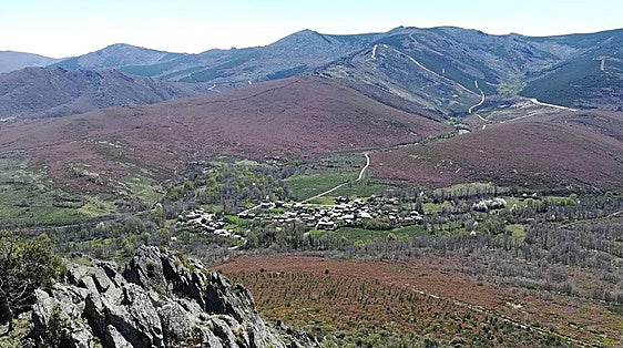 Comienza la plantación de especies autóctonas y el desbroces para prevenir incendios forestales en el bosque de Valdavido