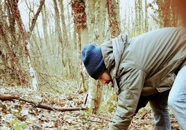 Un voluntario durante la limpieza y plantación en un bosque de León.