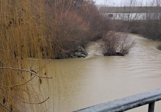 Estado del río Cea ahora mismo.