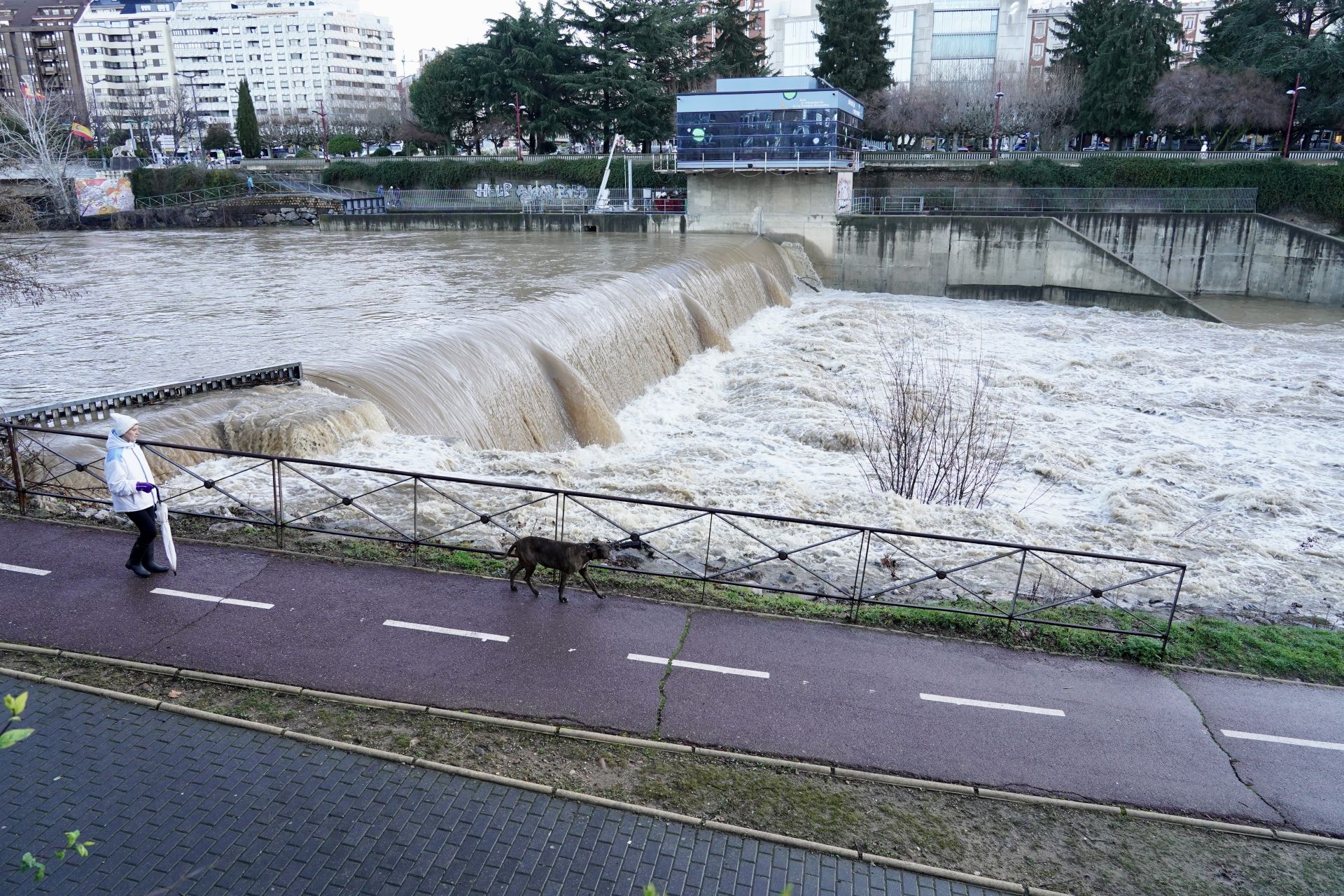 Las imágenes de la crecida del río Bernesga a su paso por León