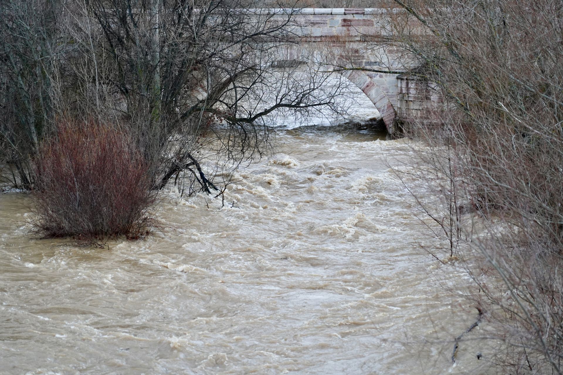 Las imágenes de la crecida del río Bernesga a su paso por León
