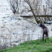 Cortan las pasarelas del Bernesga en León por la crecida del Río