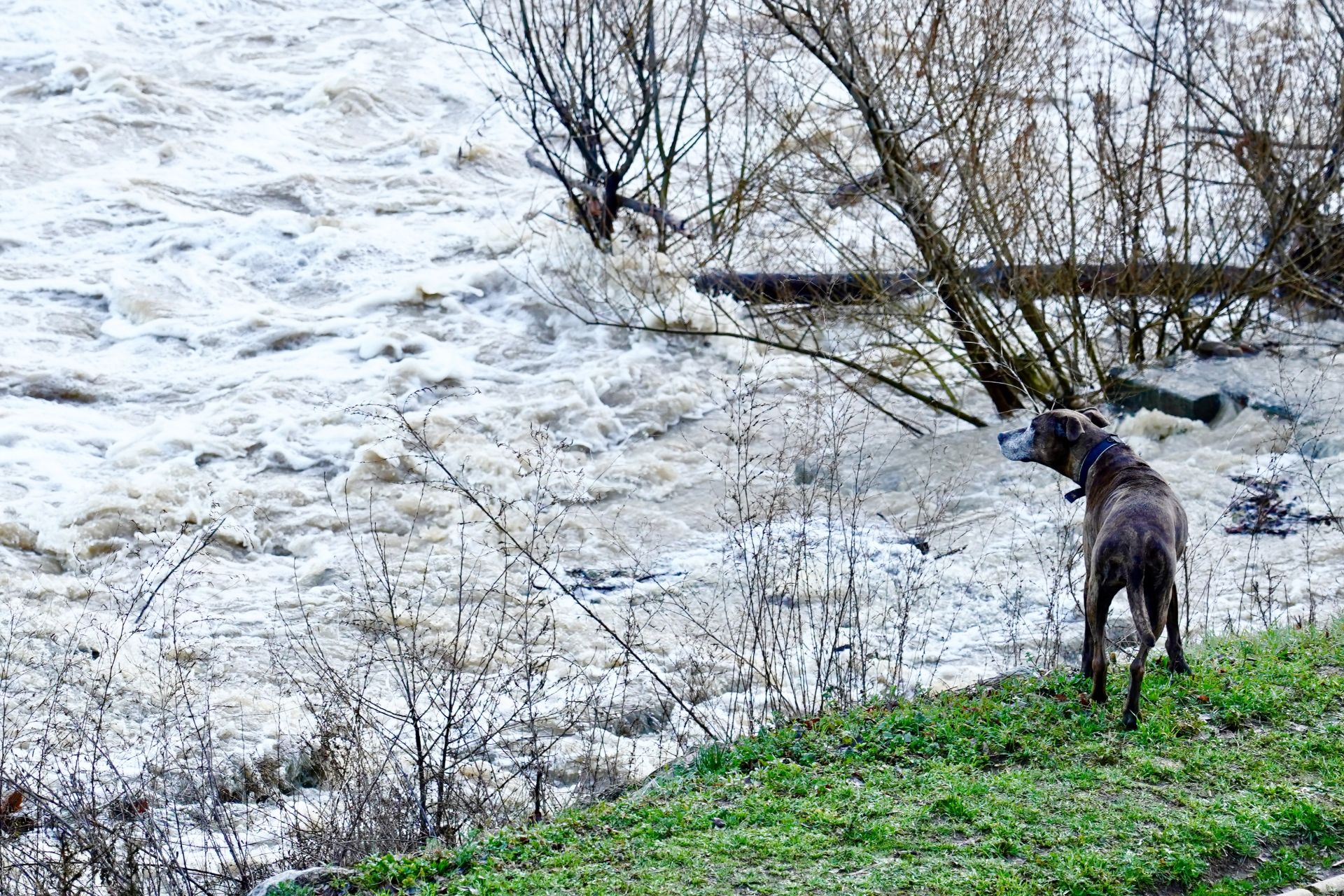 Crecida del río Bernesga en León.