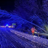 Los efectos de la borrasca Herminia en León: Los Bomberos retiran un árbol en una carretera del alfoz