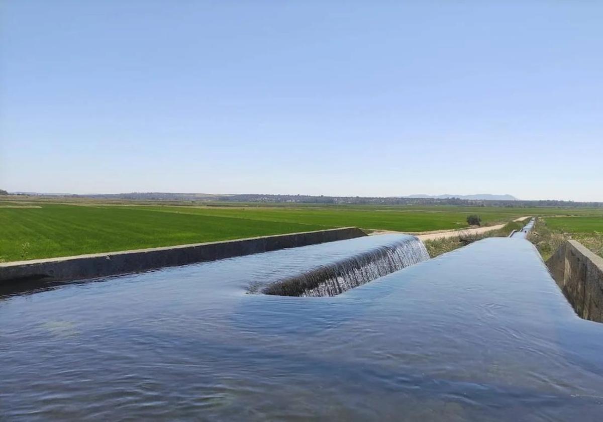 Canal de Orellana, en Badajoz.